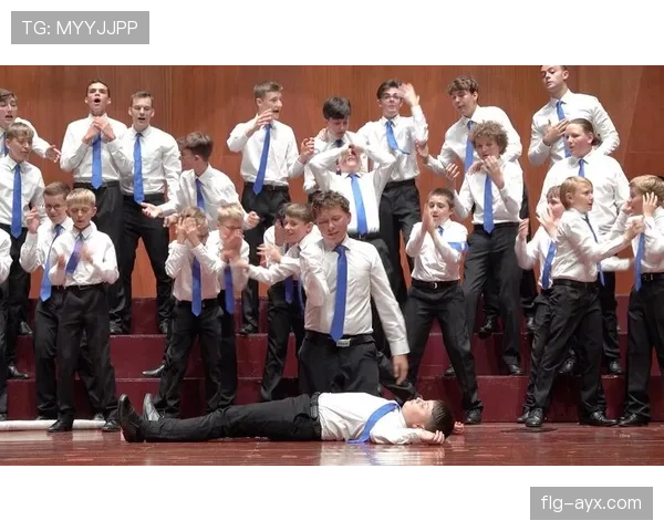 捷克球迷雄狮助威助推球队国际赛场突破表现