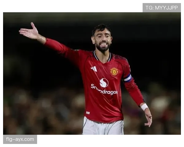 B费生涯个人表现与团队成绩解析