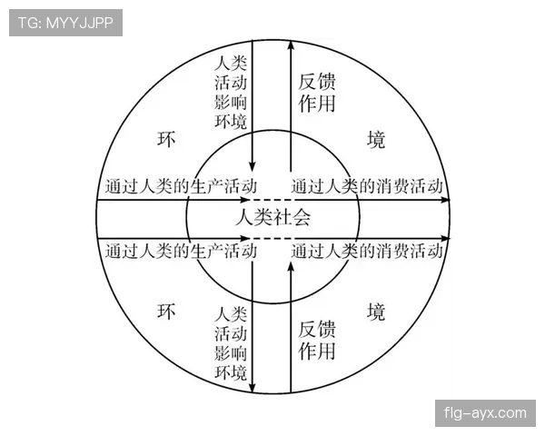 B费:从前腰到自由核心的角色演变解析 B费:从前腰到自由核心的角色演变解析
